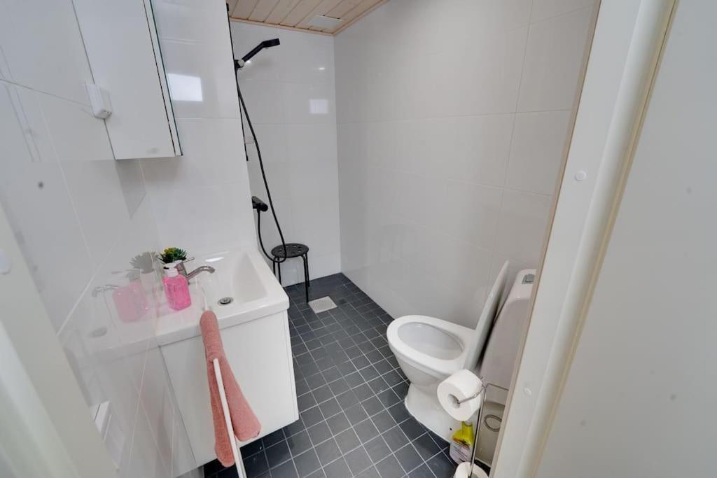 Best Location In Tampere! Modern City Apartment, 2Rooms, Kitchen And Balcony Zewnętrze zdjęcie